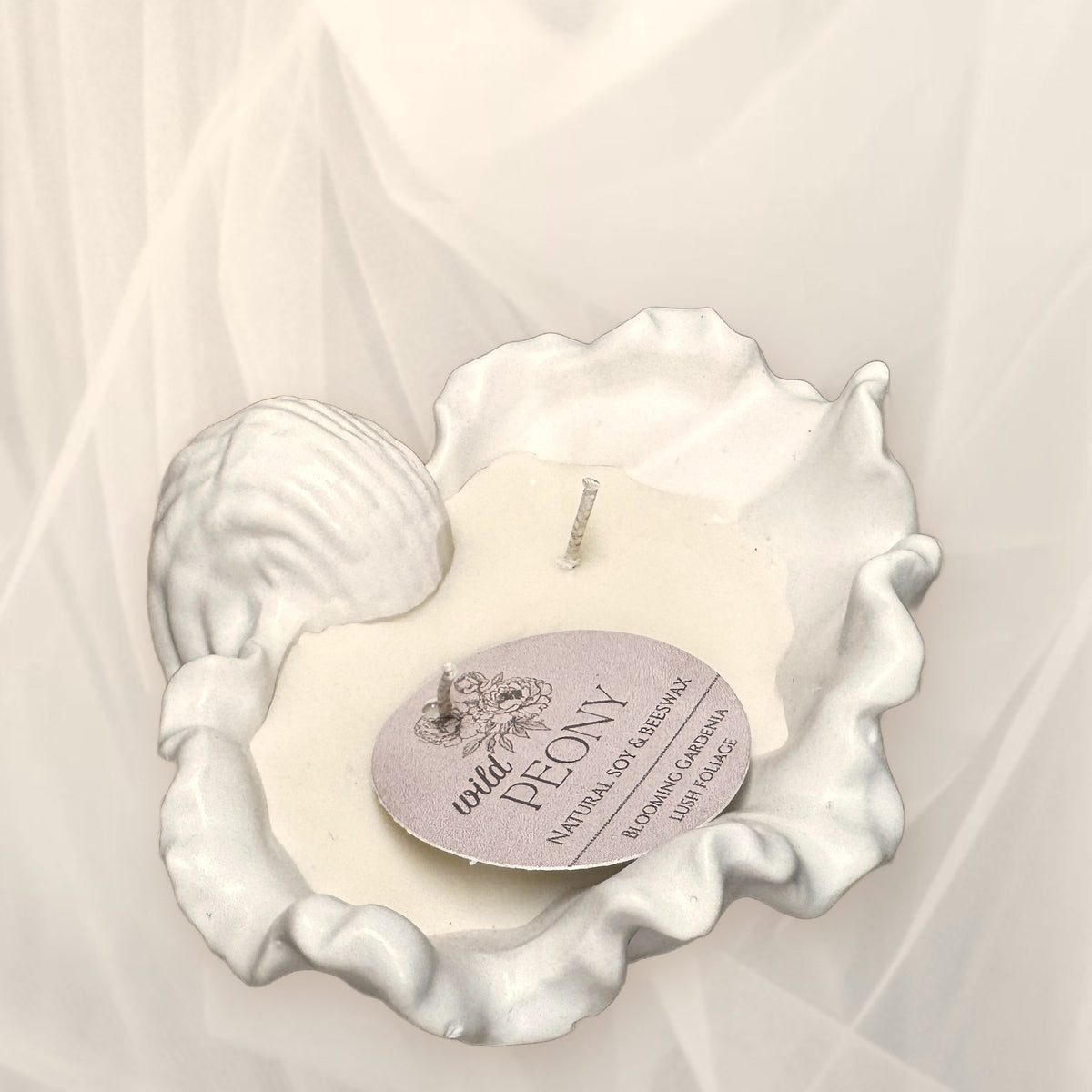 Coastal shell soy candle in vessel