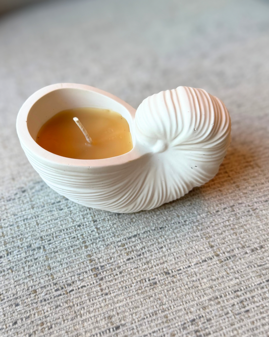 Shell Beeswax Candle