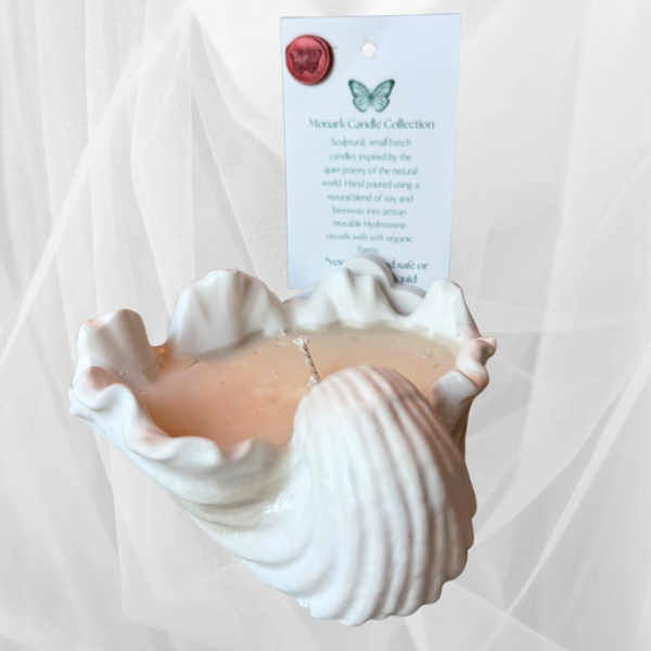Coastal shell soy candle in vessel