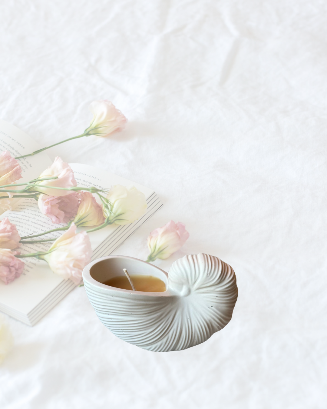 Shell Beeswax Candle