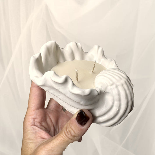 Coastal shell soy candle in vessel